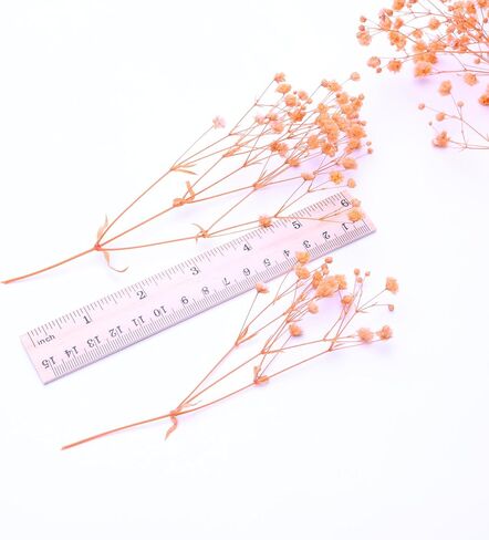 100 Pcs Orange Mini Dried Baby's Breath Flowers, 6000+Gypsophila Dry Flowers Bulk for Vase Resin Nails, Art Crafts DIY Pressed Flower Making, Valentines Day Decor, Party Table Wedding Gifts in Saudi Arabia