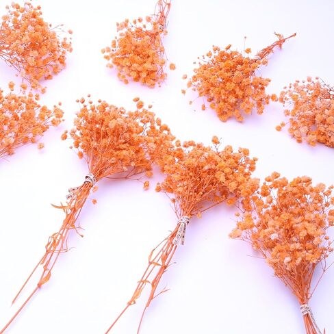 100 Pcs Orange Mini Dried Baby's Breath Flowers, 6000+Gypsophila Dry Flowers Bulk for Vase Resin Nails, Art Crafts DIY Pressed Flower Making, Valentines Day Decor, Party Table Wedding Gifts in Saudi Arabia