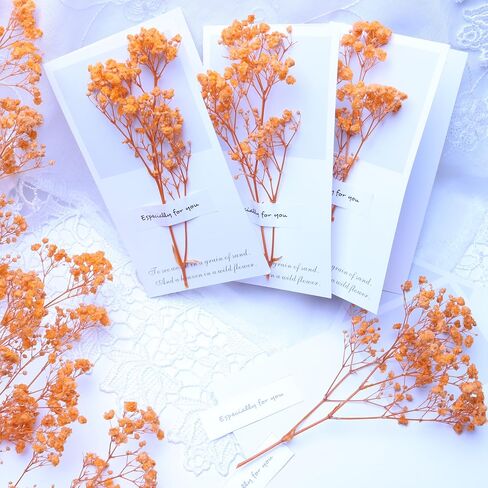 100 Pcs Orange Mini Dried Baby's Breath Flowers, 6000+Gypsophila Dry Flowers Bulk for Vase Resin Nails, Art Crafts DIY Pressed Flower Making, Valentines Day Decor, Party Table Wedding Gifts in Saudi Arabia