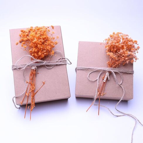 100 Pcs Orange Mini Dried Baby's Breath Flowers, 6000+Gypsophila Dry Flowers Bulk for Vase Resin Nails, Art Crafts DIY Pressed Flower Making, Valentines Day Decor, Party Table Wedding Gifts in Saudi Arabia