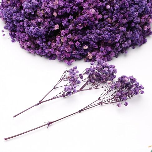 100 Pcs Orange Mini Dried Baby's Breath Flowers, 6000+Gypsophila Dry Flowers Bulk for Vase Resin Nails, Art Crafts DIY Pressed Flower Making, Valentines Day Decor, Party Table Wedding Gifts in Saudi Arabia