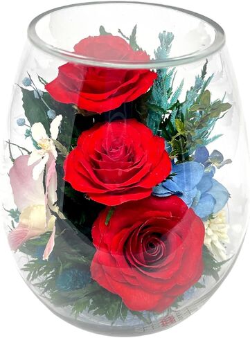 Fiora Flower | Preserved Roses & Floral Arrangement in Sealed Glass Vase | Lasts up to 5 Years | Elegant Gift for Weddings, Birthdays, and Anniversaries (Cream) in Saudi Arabia