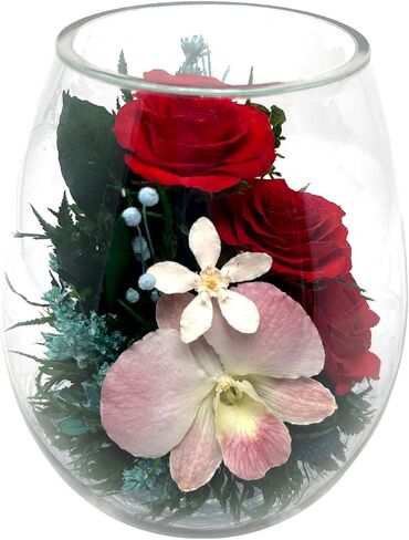 Fiora Flower | Preserved Roses & Floral Arrangement in Sealed Glass Vase | Lasts up to 5 Years | Elegant Gift for Weddings, Birthdays, and Anniversaries (Cream) in Saudi Arabia
