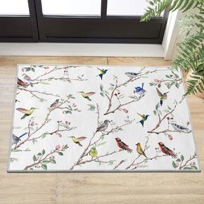 Artoid Mode Twigs Bird Spring Area Rug, Summer Retro Home Decor Low-Profile Washable Door Mat for Entryway Bedroom Living Room Laundry Room Indoor 2x3 Feet