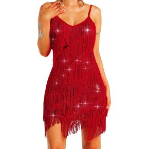TWINKLEDE Layered Tassel Dress for Women 1920s Flapper Dresses Glitter Latin Samba Tango Dance Costumes