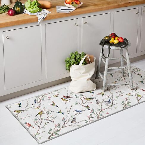 Artoid Mode Twigs Bird Spring Area Rug, Summer Retro Home Decor Low-Profile Washable Door Mat for Entryway Bedroom Living Room Laundry Room Indoor 2x3 Feet in Saudi Arabia