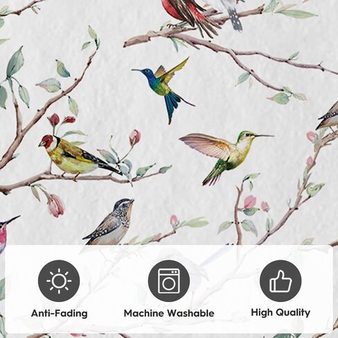 Artoid Mode Twigs Bird Spring Area Rug, Summer Retro Home Decor Low-Profile Washable Door Mat for Entryway Bedroom Living Room Laundry Room Indoor 2x3 Feet in Saudi Arabia