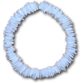 Native Treasure - Polished White Rose Clam Chips Ark Shell Stretch Bracelet