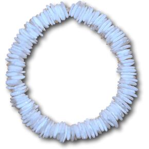 Native Treasure - Polished White Rose Clam Chips Ark Shell Stretch Bracelet in Saudi Arabia