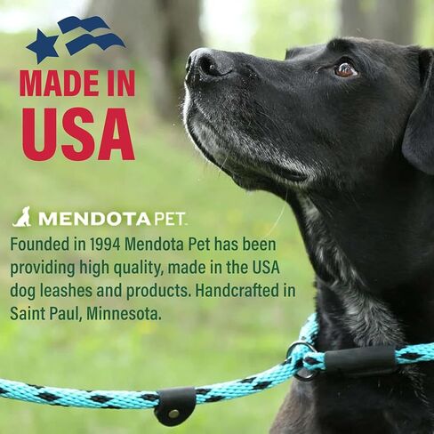 Mendota Pet Snap Leash, 1/2-Inch by 4-Feet, Black in Saudi Arabia
