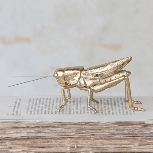 Creative Co-Op Gold Resin Cricket Figurine in Saudi Arabia