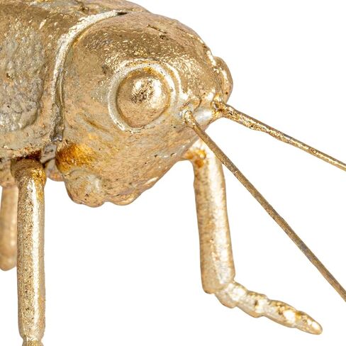 Creative Co-Op Gold Resin Cricket Figurine in Saudi Arabia