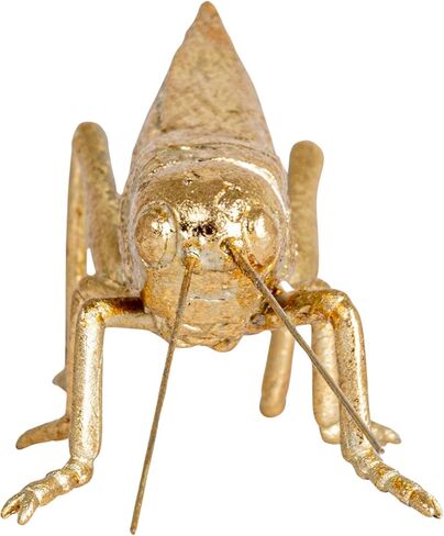 Creative Co-Op Gold Resin Cricket Figurine in Saudi Arabia