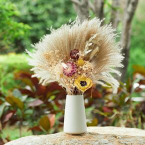 Dried Pampas Grass Decor,Natural Dried Flower Dry Pampas Boho,Home Decor Dried Flowers for Wedding Floral Room Home Party Decorations (US-DPG-02)