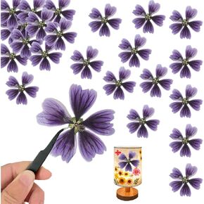 Purple Dried Pressed Mallow Flowers for Resin Crafts Embellishment, Large Size Natural Real Pressed Mallow Flowers for Resin DIY Jewellery Candle Making Phone Case Home Wedding Decor(1.77IN)