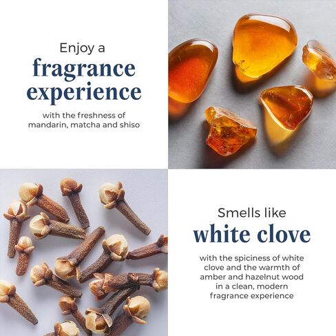 PartyLite White Clove Monochrome Jar Candle – Modern Black & White Design, Mandarin, Matcha, Shiso Leaf, White Clove, Amber & Hazelnut Wood Scent, 40-60 Hours Burn Time in Saudi Arabia