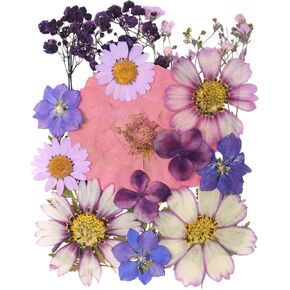 20Pcs Purple Pressed Flowers for Crafts,Real Nature Pressed Dried Flowers for Resin, Mold, Jewelry Making, Candle Scrapbooking Supplies.