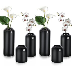 Clear Small Flower Vase Set of 12, Glass Bud Vases in Bulk, Decor Centerpiece for Bathroom, Decorative Vases for House Warming, Valentines' Day, Mother's Day, Thanksgiving Day(12 Clear)