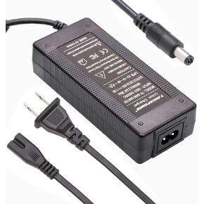 TANGSPOWER 54.6V eBike Battery Charger 48V 13S Lithium Replacement Charger 48Volt Electric Bike Charger DC-1Prong 5.5x2.1mm Round Plug for Rad Rover