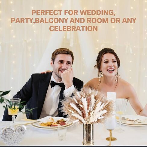 86 قطعة من عشب بامباس الطبيعي المجفف من سوخ - ديكور عشب بامباس المجفف، تشكيلة زهور مجففة لديكور المنزل، ديكور بوهو، ديكور غرفة المعيشة، ديكور الطاولة، ديكور المكتب، ديكور الزفاف وديكور الحفلات in Saudi Arabia