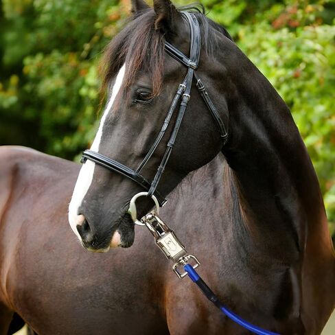 ربطات عنق بنجي لمقطورة الحصان، ربطات بنجي متقاطعة بطول 91.44 سم للخيول مع مشبك ذعر قوي للغاية وسريع الفك ومشبك الثور لملحقات مقطورة الحصان (عبوة سوداء 2) in Kuwait