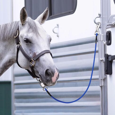 ربطات عنق بنجي لمقطورة الحصان، ربطات بنجي متقاطعة بطول 91.44 سم للخيول مع مشبك ذعر قوي للغاية وسريع الفك ومشبك الثور لملحقات مقطورة الحصان (عبوة سوداء 2) in Kuwait