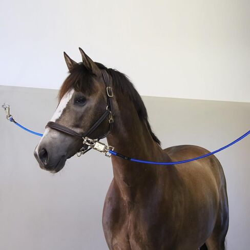 ربطات عنق بنجي لمقطورة الحصان، ربطات بنجي متقاطعة بطول 91.44 سم للخيول مع مشبك ذعر قوي للغاية وسريع الفك ومشبك الثور لملحقات مقطورة الحصان (عبوة سوداء 2) in Kuwait