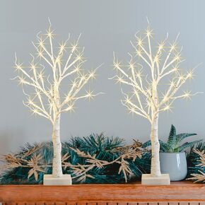 2 Pack Birch Tree with LED Lights for Christmas Decor, Battery Operated/USB Powered Lighted Birch Tree, 2FT Warm White Light up Christmas Tree with Timer for Indoor Table Fireplace Decoration