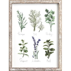 Barnyard Designs Kitchen Herbs and Spices Wall Art Decor Botanical Print Sign Rustic Country Farmhouse Wood Plaque Framed Home Wall Decor 12" x 16" (Herbs A & B, 2 Signs)