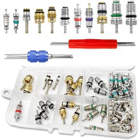 102Pcs Car Air Conditioner Valve Corer Valve Cores Accessories Kit, Air Conditioner Accessories A/C R12 R134a Refrigeration Valve Stem Tool with Remover Tool for Most Cars, Dual-Head Valve Stem
