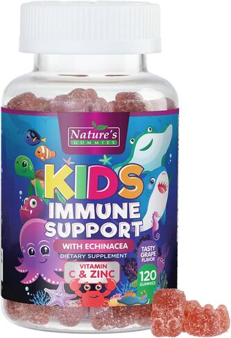 علكات دعم المناعة للأطفال مع فيتامين C والزنك والإشنسا، دعم مناعة الأطفال اليومي من Nature's للأطفال من عمر 4 سنوات فما فوق، مكمل غذائي قابل للمضغ وغير معدّل وراثيًا وخالي من الغلوتين، نكهة الفاكهة - 90 علكة in Kuwait