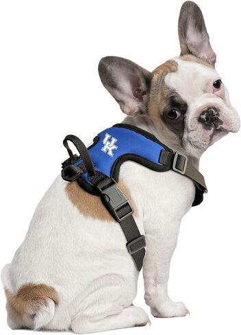 Littlearth West Virginia Mountaineers NCAA Front Clip Pet Harness in Kuwait
