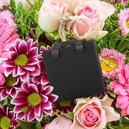 صندوق هدايا مجوهرات فاخر من Nsmykhg، 12 عبوة منظم مجوهرات مبطن بالمخمل، صندوق مجوهرات ذو درج صغير للأقراط والخواتم، 2 في 1 نمط درج صندوق هدايا مجوهرات مع حبل مقبض، 8.3 × 1.8 × 1.4 بوصة (أسود) in Kuwait