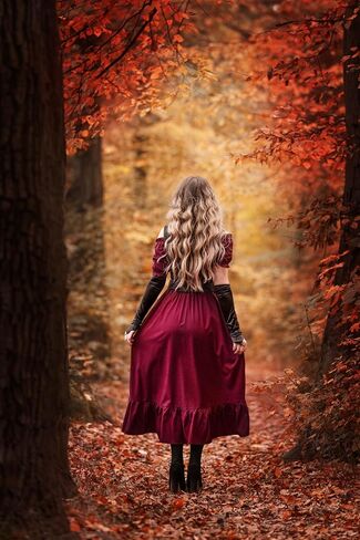 Scarlet Darkness Renaissance Costume Women Steampunk Dress Medieval Ren Faire Dress in Kuwait