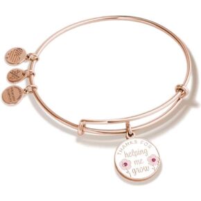 Alex and Ani Teacher Appreciation, Expandable Bangle for Women, 2 to 3.5 in