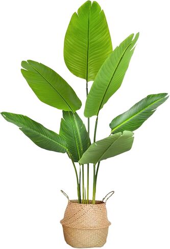 Little Artificial Bird of Paradise Plant Tree Plants Potted Faux for Indoor Outdoor Office Room Shop Decor (43 inch) in Saudi Arabia