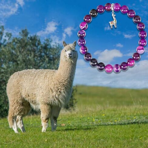 Llama Gifts for Women Llama Bracelet Alpaca Gifts for Llama Lovers Llama Charm Jewelry Inspirational Animal Gifts for Women in Saudi Arabia