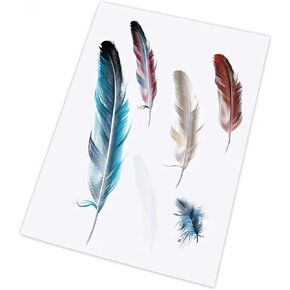 Feather Vinyl Car Stickers, Transparent Bird Feather Scratch Cover Waterproof Bumper Decals for Automotive, Motorcycle, Helmet, Luggage, Window, Wall, Home Decor (Type A)