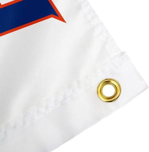 Desert Cactus University of Florida Flag UF Gators Banner 100% Polyester Indoor Outdoor 3x5 feet Flags (Style 1) in Kuwait
