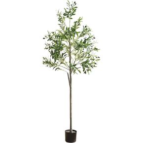 شجرة زيتون صناعية، شجرة صناعية بطول 6 أقدام في أوراق فرع أوليفر وفواكه لديكور المنزل الحديث في الداخل (70 بوصة، شجرة زيتون) in Kuwait