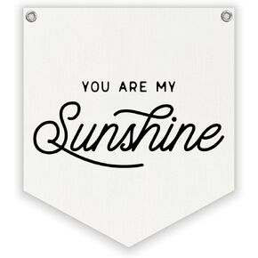 Vintage Room Decor,You Are My Sunshine Wall Hanging Banner, Kids Room Decor, Trendy Pennant Flag Banner Wall Hanging Decor for Classroom Nursery Home,12.4x14 in