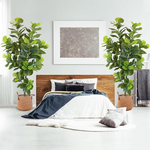 KOL 6.2FT 2-Pack Artificial Fiddle Leaf Fig Tree, 74.8’’ Fake Ficus Lyrata Plant, Faux Plants Greenery for House Home Office House Living Room, Perfect Housewarming Gift, Indoor Outdoor Modern Decor in Saudi Arabia