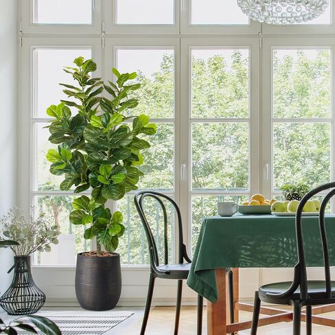 KOL 6.2FT 2-Pack Artificial Fiddle Leaf Fig Tree, 74.8’’ Fake Ficus Lyrata Plant, Faux Plants Greenery for House Home Office House Living Room, Perfect Housewarming Gift, Indoor Outdoor Modern Decor in Saudi Arabia