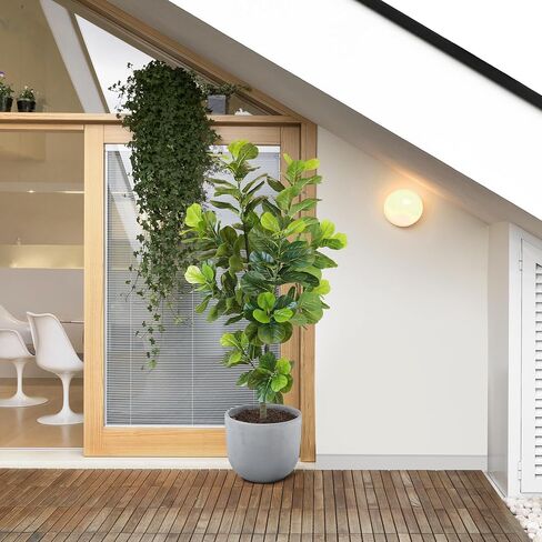 KOL 6.2FT 2-Pack Artificial Fiddle Leaf Fig Tree, 74.8’’ Fake Ficus Lyrata Plant, Faux Plants Greenery for House Home Office House Living Room, Perfect Housewarming Gift, Indoor Outdoor Modern Decor in Saudi Arabia