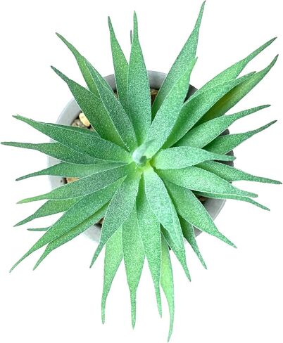 HelaCueil 2 Pack Artificial Succulent Plants 7'' & 5'' Potted Home Decoration Cement Pots in Saudi Arabia