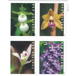 Wild Orchids Book of 20 First Class Postage Stamps Scott 5444