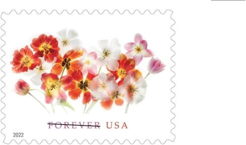 2022 Tulips Flowers, Garden, Love, Forever First Class Postage Stamps (5 Sheets, 100 Stamps) in Saudi Arabia