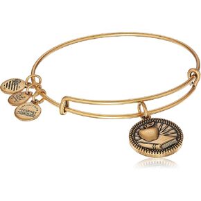 Alex and Ani Women's Teacher Bangle Bracelet, Rafaelian Gold Finish, 2 to 3.5 in