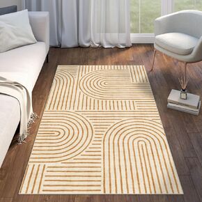 Washable Area Rug 5x7 - Boho Living Room Rug Stain Resistant Soft Bedroom Rug Ultra-Thin Sage Green Modern Abstract Rainbow Dining Room Rugs Indoor Carpet for Living Room Nursery Room