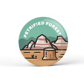 Petrified Forest National Park Pinback Button